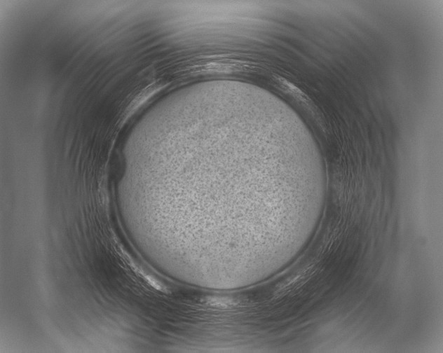 X0000052570794200507221501