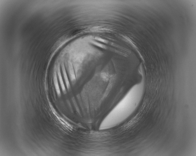 X0000052570795200507221501