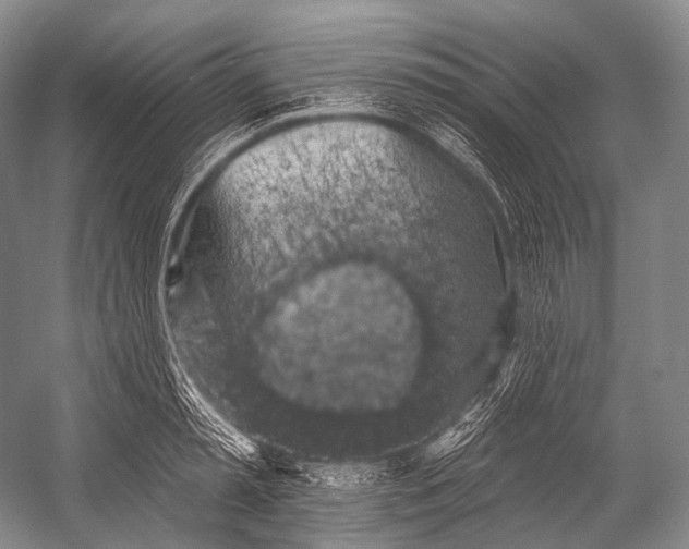 X0000052570797200507221500