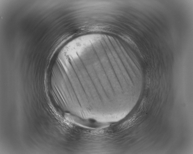 X0000052570798200507221500