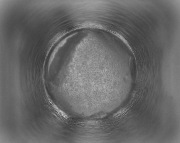 X0000052570799200507221500