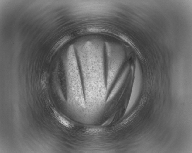 X0000052570801200507221500