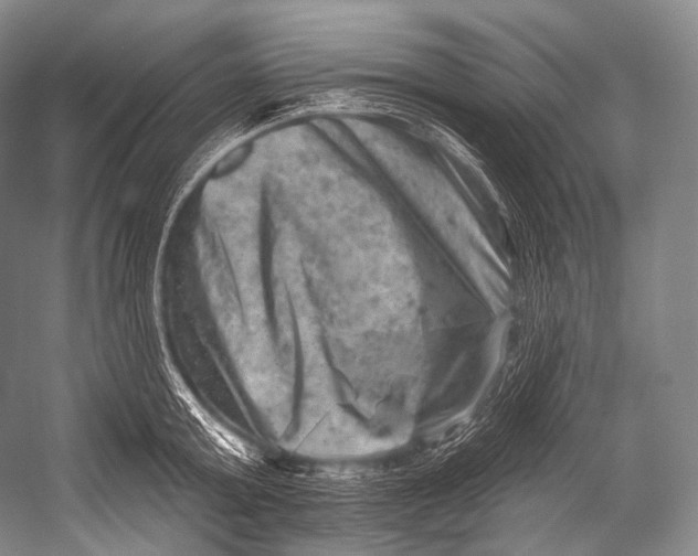 X0000052570803200507221500