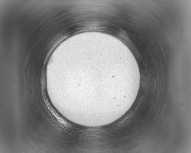 X0000052570804200507221500