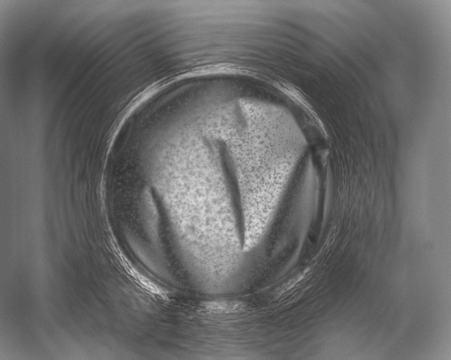 X0000052570805200507221500