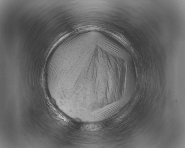 X0000052570806200507221500