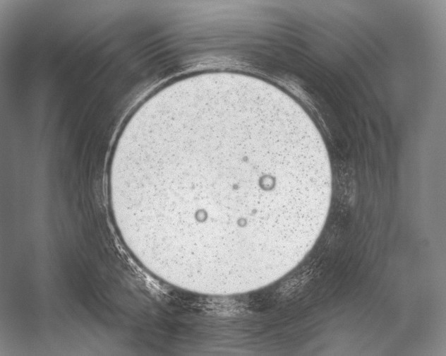 X0000052570807200507221500