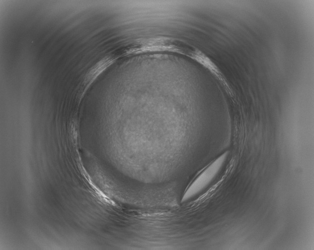 X0000052570809200507221500