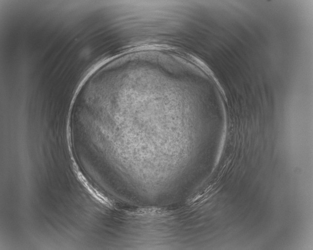 X0000052570811200507221500