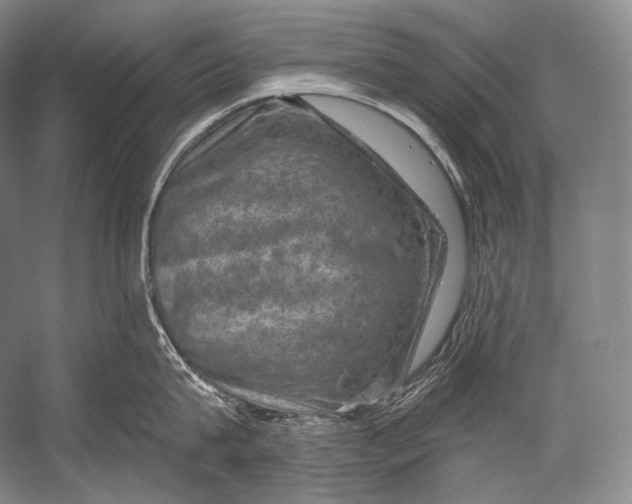 X0000052570815200507221500