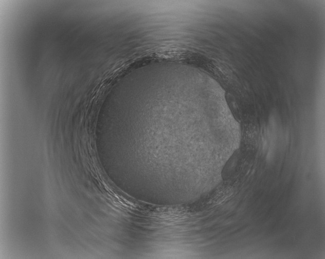 X0000052570817200507221459