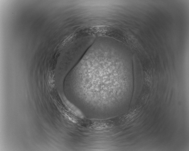 X0000052570818200507221459