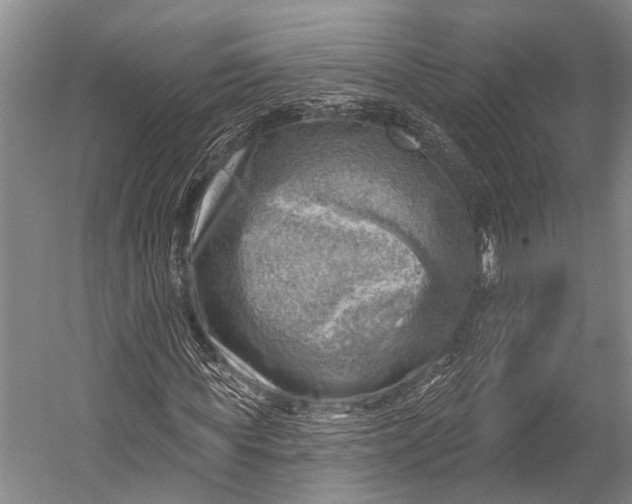 X0000052570819200507221459