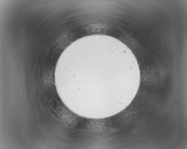 X0000052570820200507221459