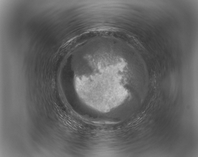 X0000052570821200507221459