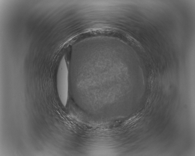 X0000052570822200507221459