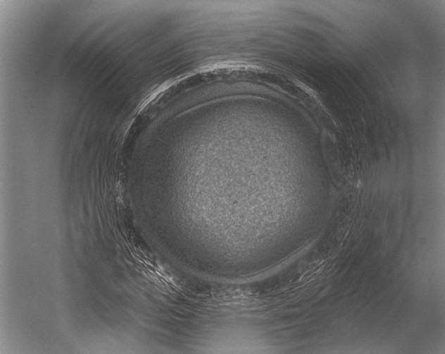 X0000052570823200507221459