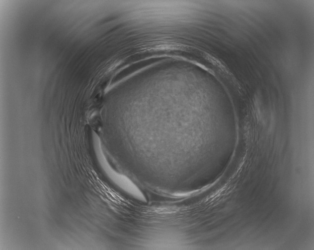 X0000052570825200507221459