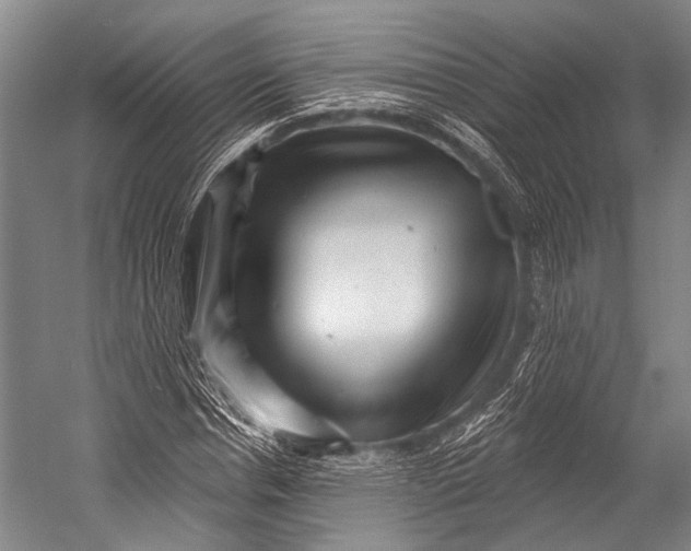 X0000052570826200507221459