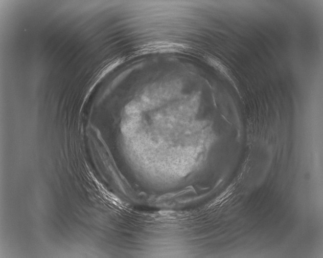 X0000052570827200507221459