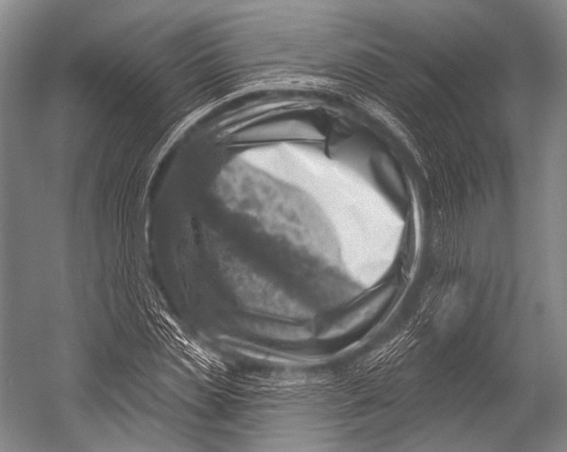 X0000052570829200507221500