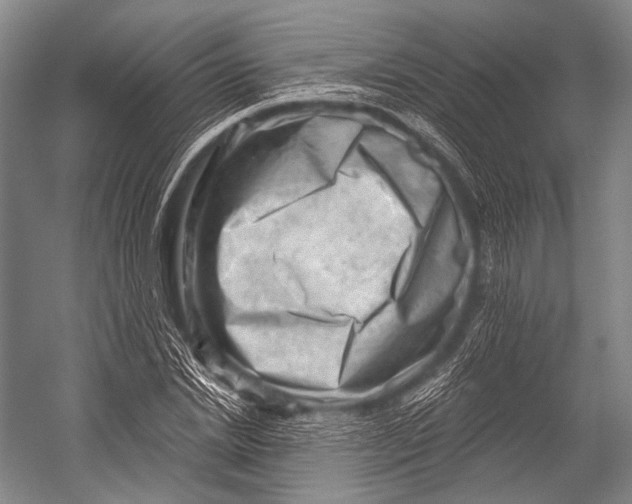 X0000052570830200507221500