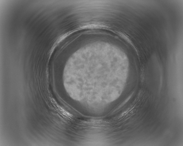 X0000052570831200507221500