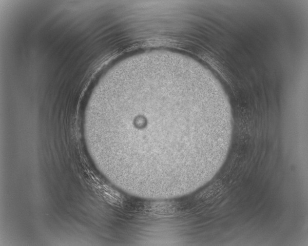 X0000052570832200507221500