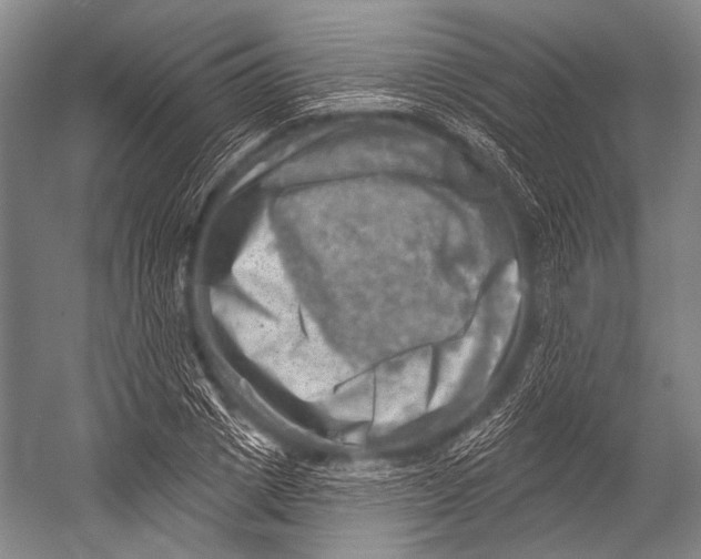 X0000052570833200507221500