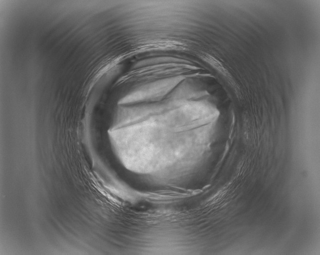 X0000052570834200507221500