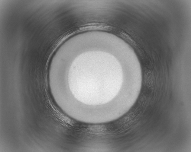 X0000052570836200507221500