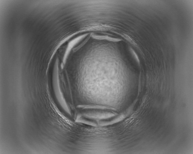 X0000052570838200507221500