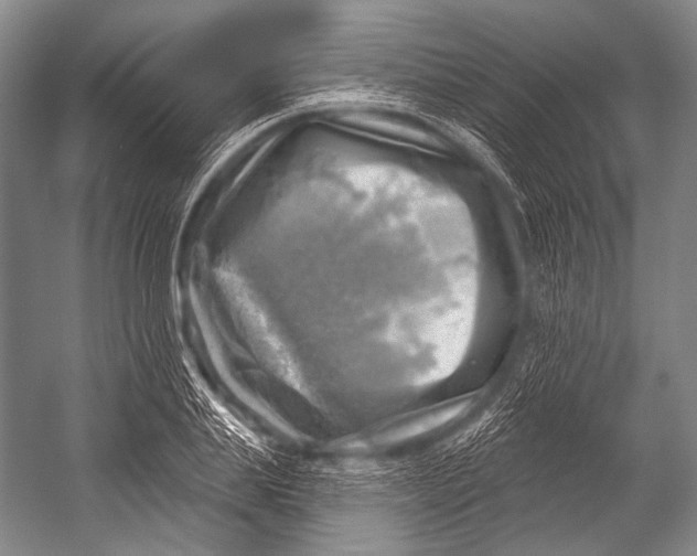 X0000052570839200507221500