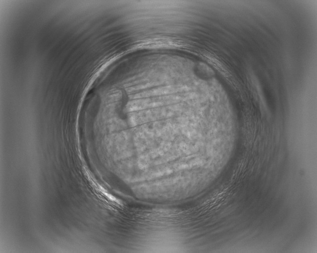 X0000052570840200507221500