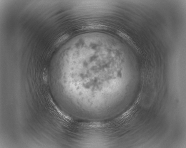 X0000052570841200507221500