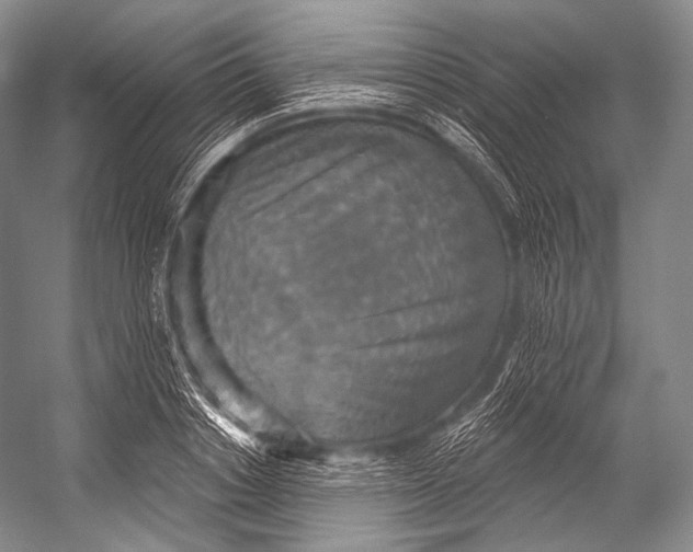 X0000052570842200507221500