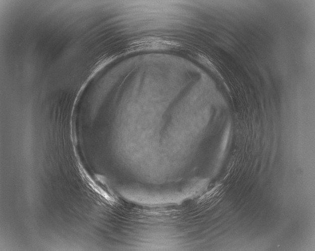 X0000052570843200507221500