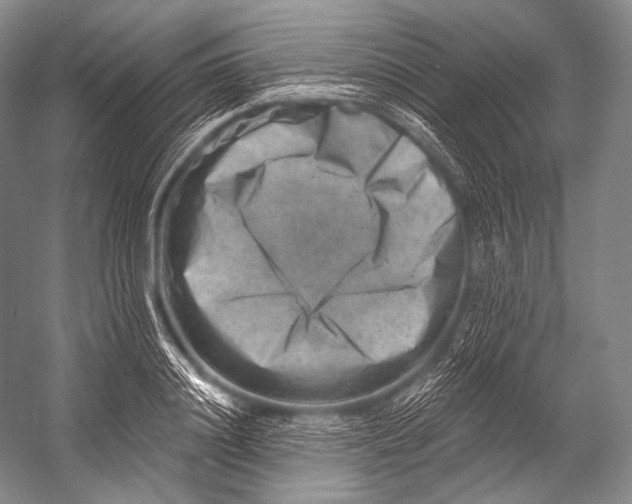 X0000052570844200507221500