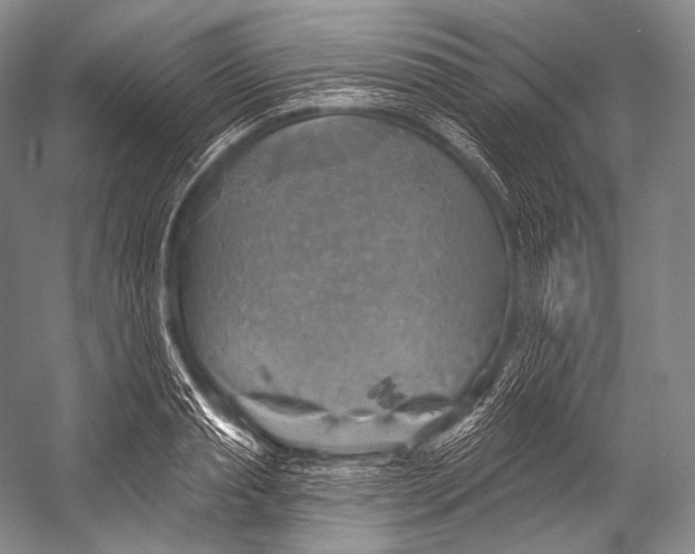 X0000052570845200507221500