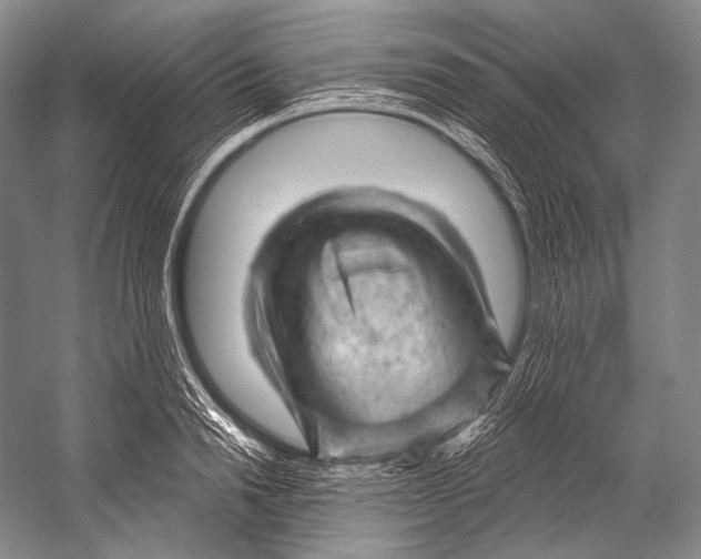 X0000052570846200507221500