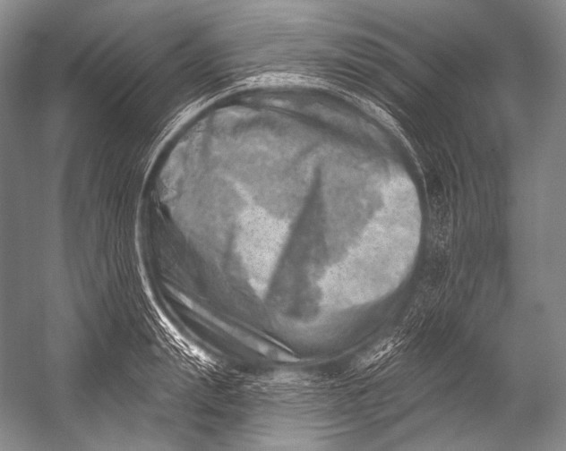 X0000052570847200507221500