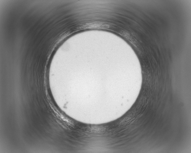 X0000052570848200507221500