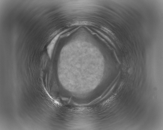 X0000052570849200507221500