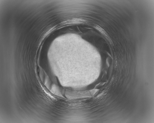 X0000052570850200507221500