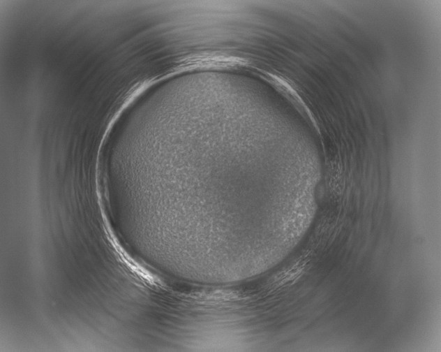 X0000052570851200507221500