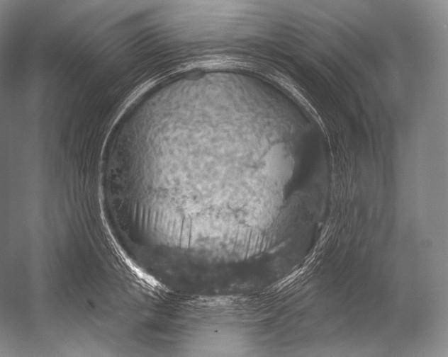 X0000052570853200507221500