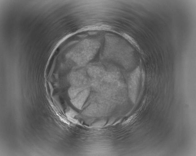 X0000052570854200507221500