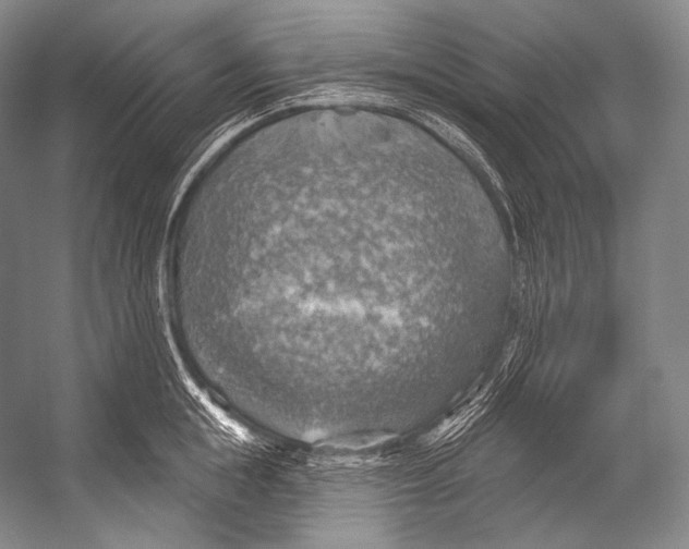 X0000052570855200507221500