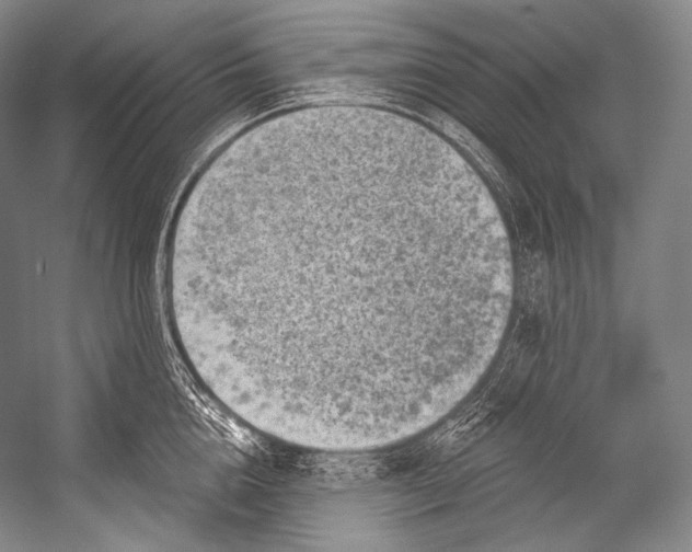 X0000052570856200507221500