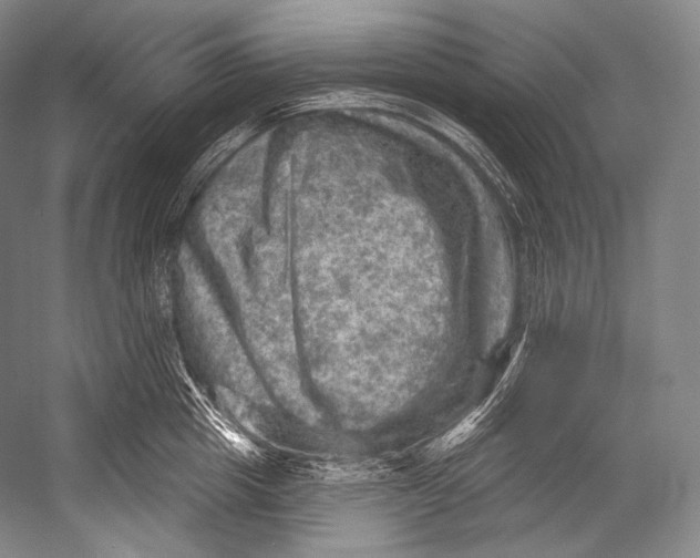 X0000052570857200507221500